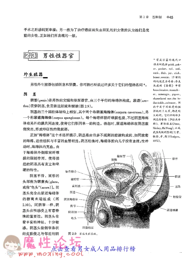 极速截图2018120310292.png