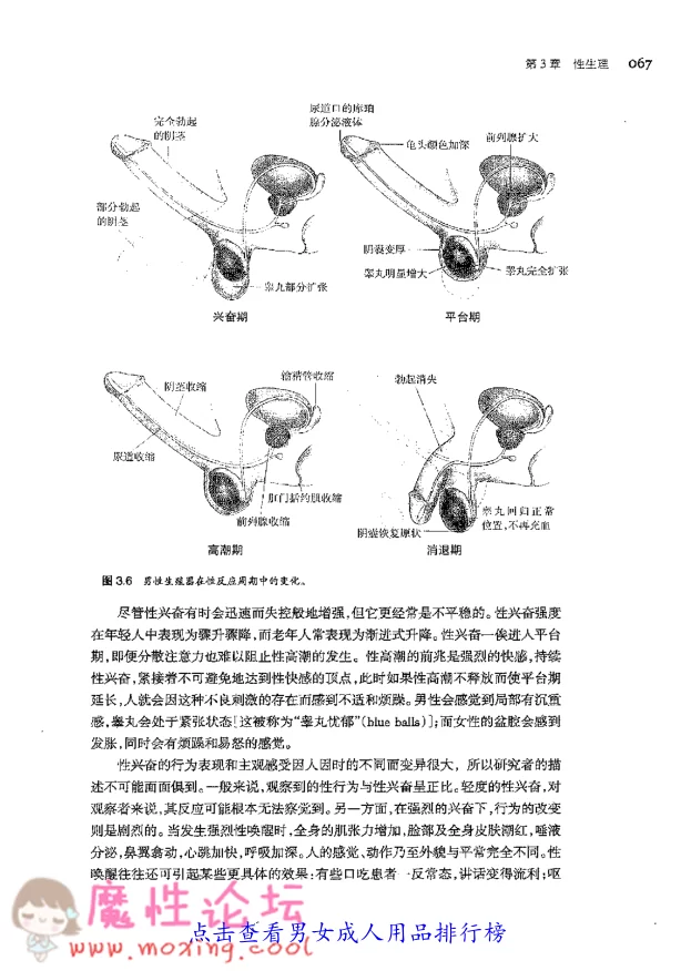 极速截图20181203231030.png