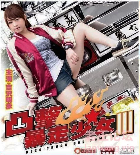 Deco-Truck-Gal-Nami-3-2011_.jpg